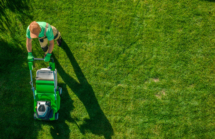 Garden Maintenance