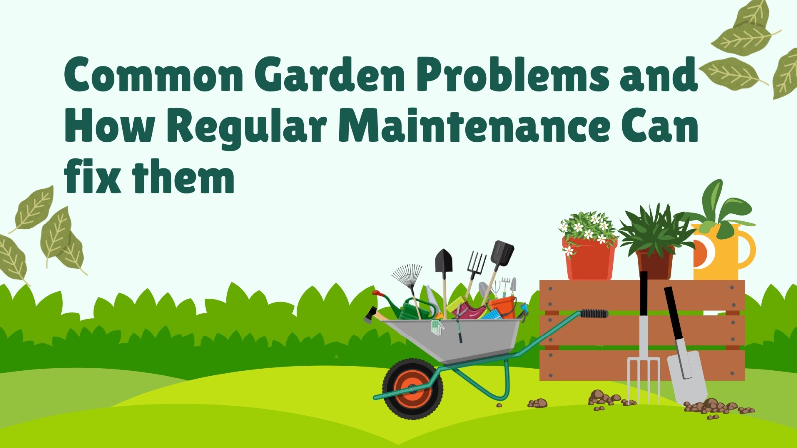 Common Garden Problems and How Regular Maintenance Can fix them!